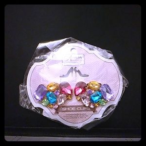 Multicolor Shoe Clips (Absolutely Audrey)